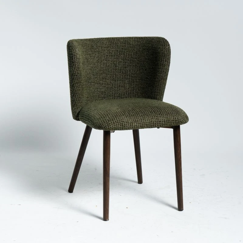 Retro Green Dining kujera tare da Zagaye Zagaye Frame